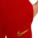 Kelnės Vaikams Nike Akademija 21 Raudona CW6124 687