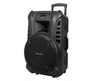 Nešiojama Garso Sistema 15" 60W RMS su 2 Belaidžiais UHF Rankiniais Mikrofonais Ir FM Imtuvu