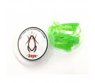 Guminukas 2SYS Pt Shad 2-002  Mad Kiwi