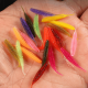 Silikoninis avižadribio masalas Tanta SOF081-A, ilgis 2,5 cm