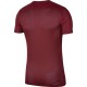 Vaikiški marškinėliai bordo spalvos Nike Dry Park VII JSY SS  BV6741 677