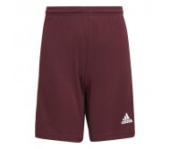 Vaikų Šortai Adidas Squadra 21 Burgundijos GN8081