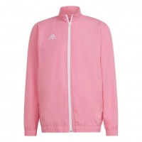 Vyriškas Ažemperis Adidas Entrada 22 Prezentation Rožinė HC5040