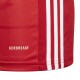 Vyriški Marškinėliai "Adidas Campeon 21 Jersey" Raudona FT6763