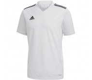Vyriški Marškinėliai Adidas Regista 20 Balta FI4553