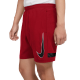 Vyriški Šortai Nike Dri-FIT Academy Raudona CV1467 687