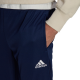 Vyriškos Kelnės Adidas Entrada 22 Training Pants Tamsiai Mėlyna HC0333